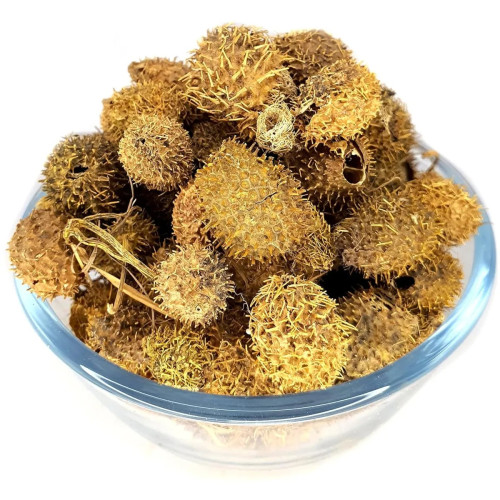 CareQue Bindal Doda (100g)