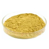 CareQue Daru Haldi Lakdi Powder (100g)