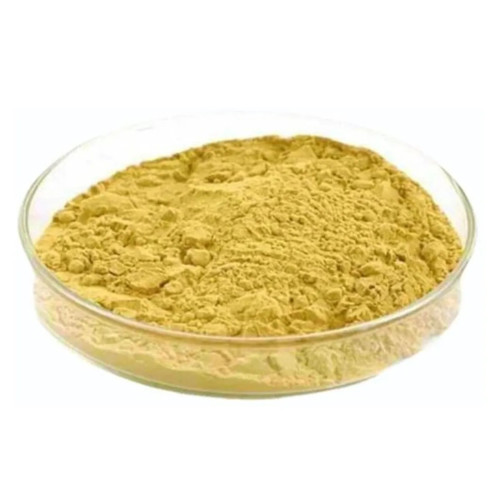 CareQue Daru Haldi Lakdi Powder (250g)
