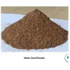 CareQue Neem Seeds Powder (250g)