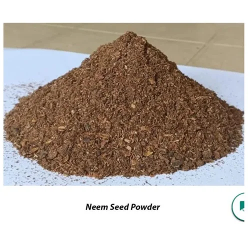 CareQue Neem Seeds Powder (500g)