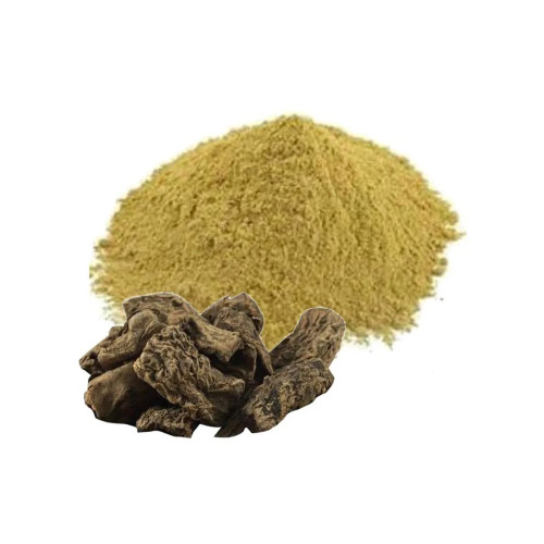 CareQue Pashan Bhed Powder (250g)