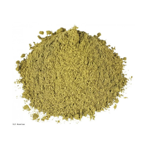 CareQue Rasna leaves Powder (50g)