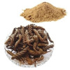 CareQue Marod Phali Powder (250g)