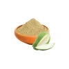CareQue Amchur Powder (100g)