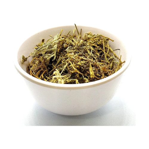 CareQue Shankhpushpi (250g)