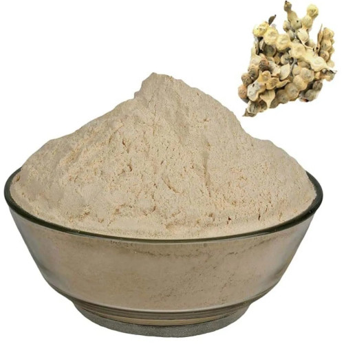 CareQue Kikar Phali Powder (50g)