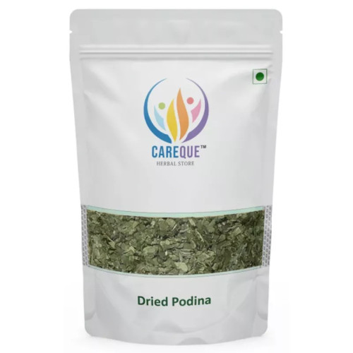 CareQue Dried Pudina (100g)