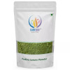 CareQue Pudina Leaves Powder (100g)
