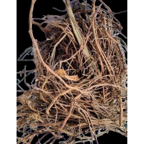 CareQue Pipal Dadhi (100g)