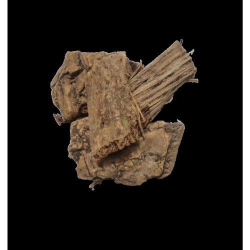 CareQue Moringa Bark (50g)