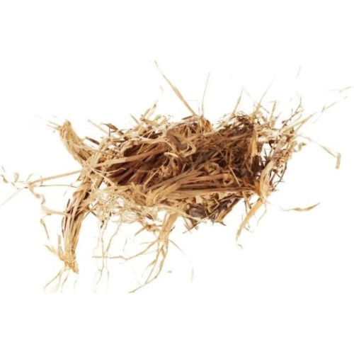 CareQue Asgar Ghas (100g)