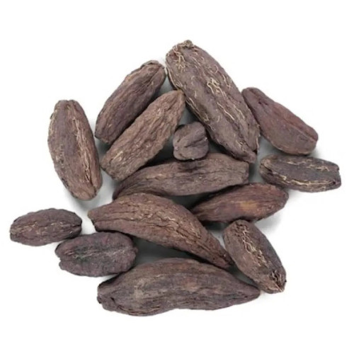 CareQue Samundar Phal (250g)