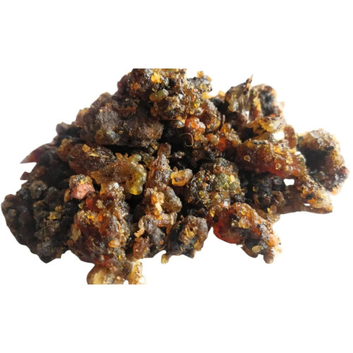 CareQue Gum Guggul (50g)