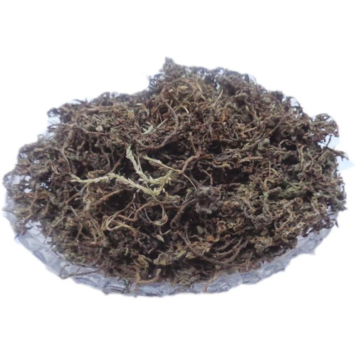 CareQue Nakchini (250g)
