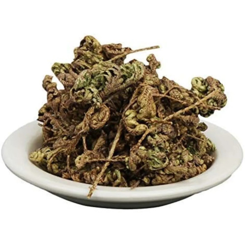 CareQue Laxmana Booti (50g)