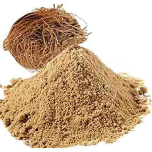 CareQue Khas Root Powder (500g)