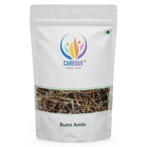 CareQue Bumi Amla (100g)