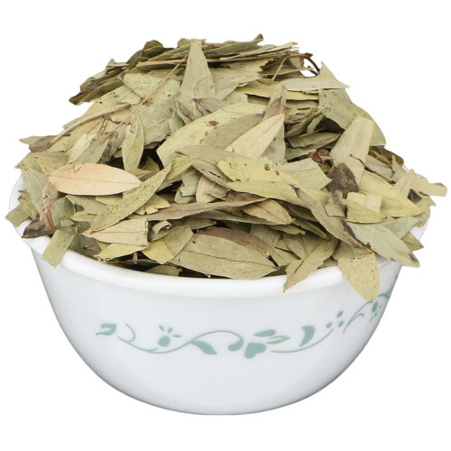 CareQue Senna Patta (500g)