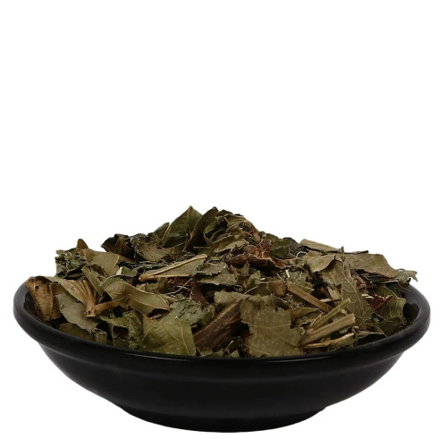 CareQue Shalparni (250g)