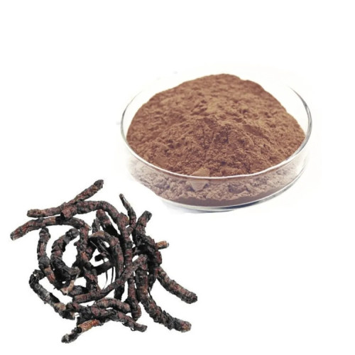 CareQue Kutki Root Powder (250g)