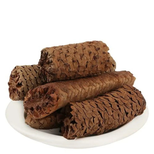 CareQue Gaj Pipal (100g)