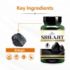 Deep Ayurveda Shilajit Vegan  Capsules Boosts Energy (60cap)