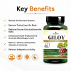 Deep Ayurveda Giloy Vegan  Capsules For Body Detoxification (60cap)