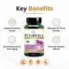 Deep Ayurveda Punarnava Vegan  Capsules Promotes Kidney Health (60cap)