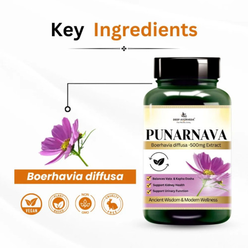 Deep Ayurveda Punarnava Vegan  Capsules Promotes Kidney Health (60cap)