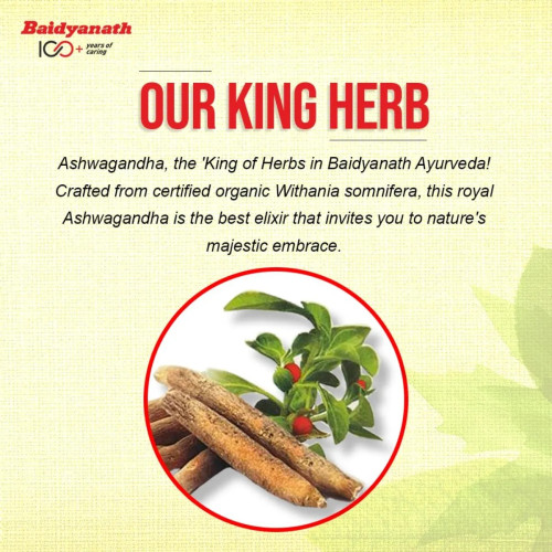 Baidyanath (Kolkata) Ashwagandha Churna (100g)