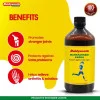 Baidyanath (Kolkata) Maharasnadi Kadha (450ml)