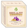 Agrosaf Pharmaceuticals Shilajit Resin With Kesar & Swaran Bhasam (20g)