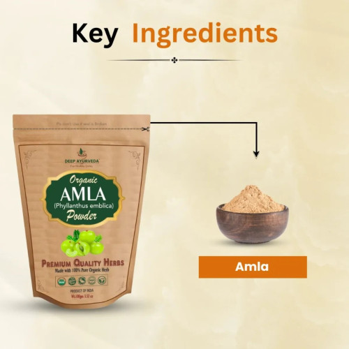 Deep Ayurveda Organic Amla (Phyllanthus Emblica) Powder (100g)