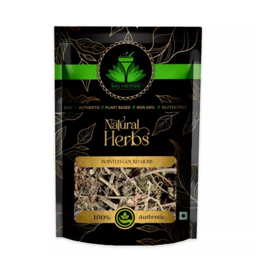 Sai Herbs Pointed Gourd Herb (100g)