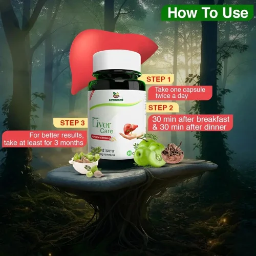 Divya Shri Liver Care  Capsules (60cap)