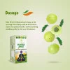 Mantra Ayurveda Herbal Body Detox Kit Amrit Syrup 500ml + Yakrit-01 30  Capsulesule) (1Pack)