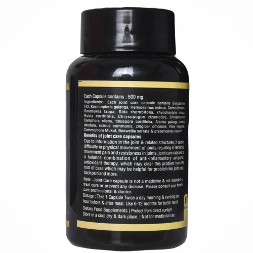 Ayurved Power Ortho Care  Capsulesule (60cap)