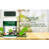Vogue Wellness Giloy  Tablets (60 Tablets)