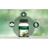 Vogue Wellness Giloy  Tablets (60 Tablets)