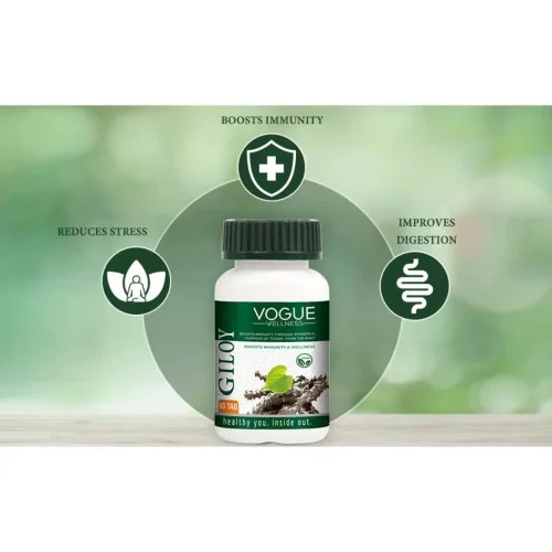 Vogue Wellness Giloy  Tablets (60 Tablets)