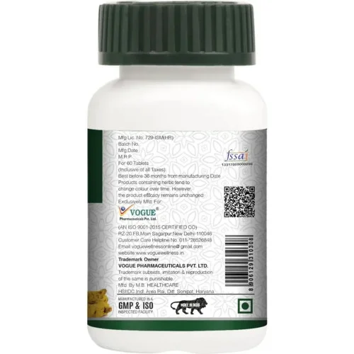 Vogue Wellness Haldi  Tablets (60 Tablets)