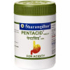 Sharangdhar Pentacid  Tablets (120 Tablets)