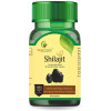 Sayurvedic Shilajit  Capsules (60cap)