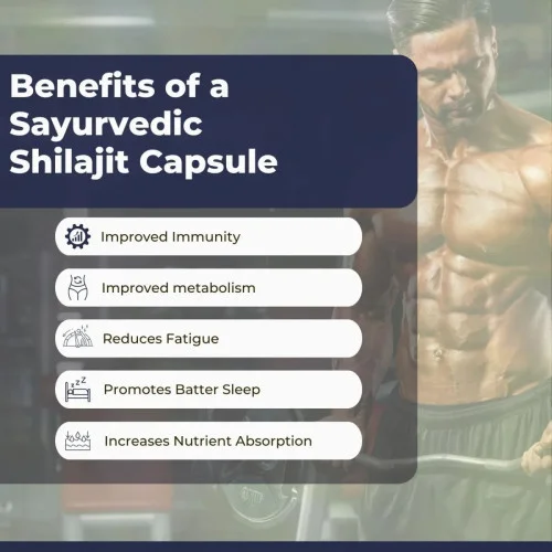 Sayurvedic Shilajit  Capsules (60cap)