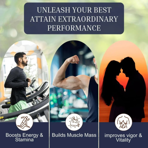 Sayurvedic Shilajit  Capsules (60cap)