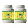 Health Made Amla Churna (100g, Pack of 2)