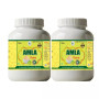 Health Made Amla Churna (100g, Pack of 2)