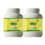 Health Made Amla Churna (100g, Pack of 2)