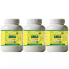 Health Made Amla Churna (100g, Pack of 3)